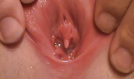 Sedutora xexo amador namorada bebeu ver com com doce abraço