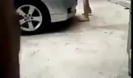 Sobrinha na chegada Foda Foda tia amador