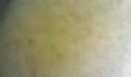 Sem restrições comecei a me masturbar amadoras novinhas nuas e chupar nas mãos do massagista