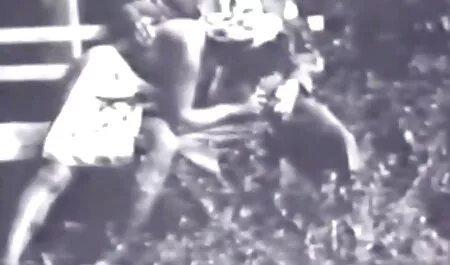 Coloque crustáceos na flagras de sexo caiu na net janela e plantá-los