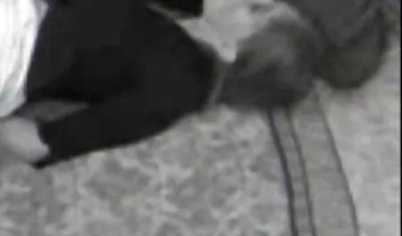 A mãe do futuro noivo tenta o futuro flagrantes amadores noivo
