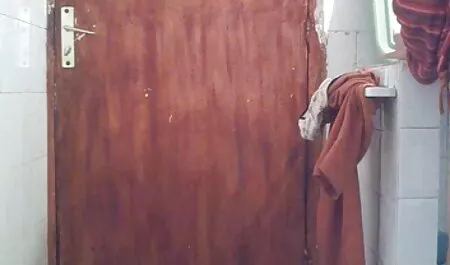 Taco de beisebol namorada amadora no gato marrom, esse é o número